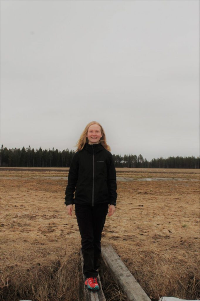 Kuva Rinasta puusillalla pellolla.