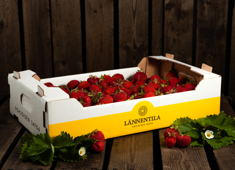 Pöydällä päällä oleva viiden kilon laatikko Lännentilan mansikoita.